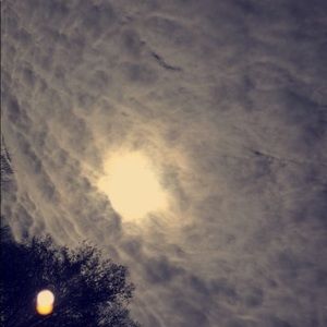 Meet your Posher, Aubri